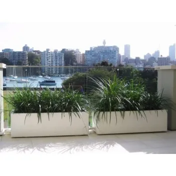 Blumentopf Buxus rectangular ADPB22