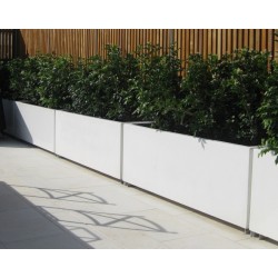 Blumentopf Buxus rectangular ADPB22