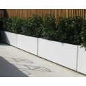 Planters Buxus rectangular ADPB22.2