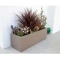 цветочный Buxus rectangular ADPB22.3