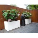 Planters Buxus rectangular ADPB22.3