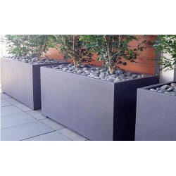 Planters Buxus rectangular ADPB22.3