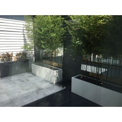 цветочный Buxus rectangular ADPB23