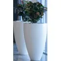 Donica Canna ADPC2