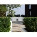 цветочный горшок Buxus Glossy ADPBH6.1