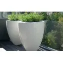 цветочный горшок Canna Glossy ADPCH1