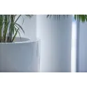 цветочный горшок Canna Glossy ADPCH1