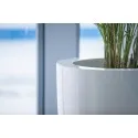 цветочный горшок Canna Glossy ADPCH1