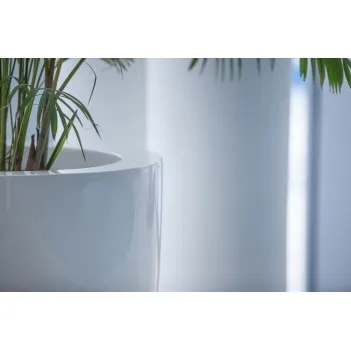 Plantážník Canna Glossy ADPCH2