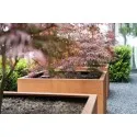 Andes   Blumentopf CA20
