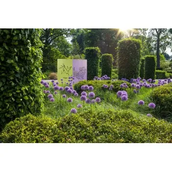 1100x50x1800 Hliníková dekorativní stěna ADAPN1 (5pcs)