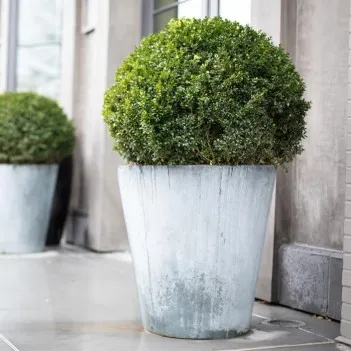 800x800 Planters Vidar...