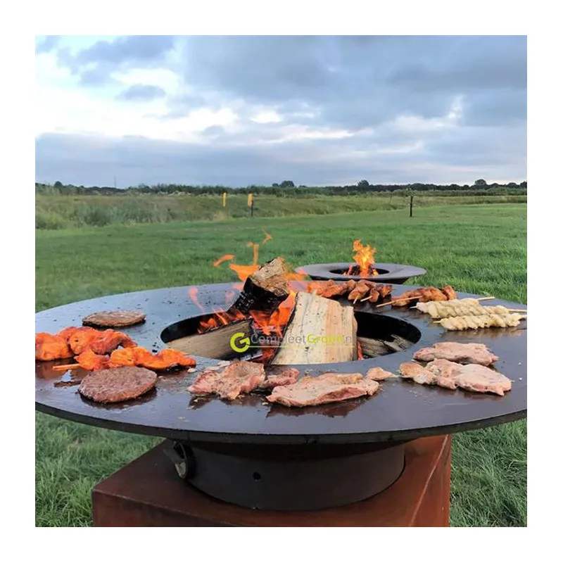 Forno Grill камин BFC6