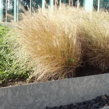 2300x3x150 Lawn edge,...