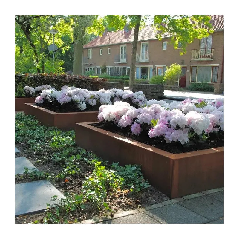 2000x2000x800 Andy, a...