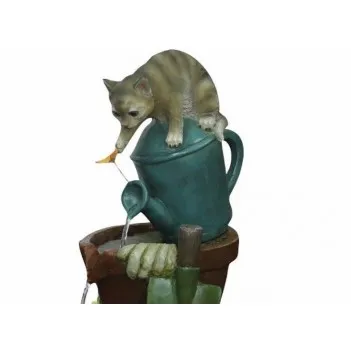 Solar bawiący się kot