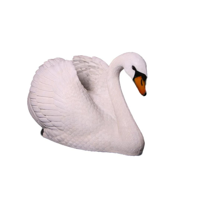 Cygne