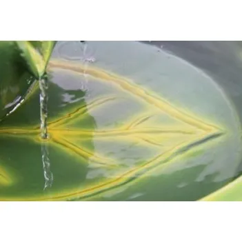  Solar Frog Cascade Water Feature  - H64cm 