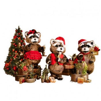 Raccoon Band – groupe de...