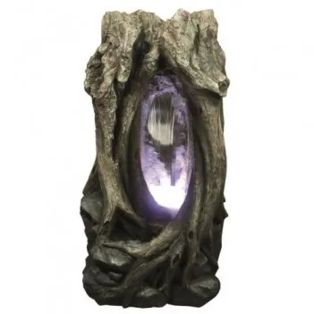 Open Tree Trunk with Water...