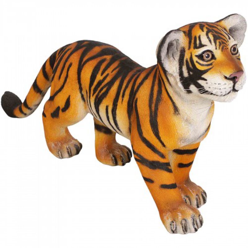 Stojící mladý tygr