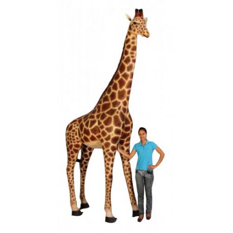 Große Giraffe