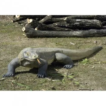 Postava, socha, Velký varan...