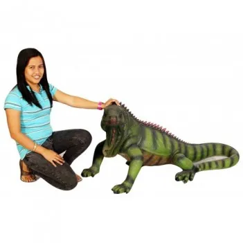 Large iguana