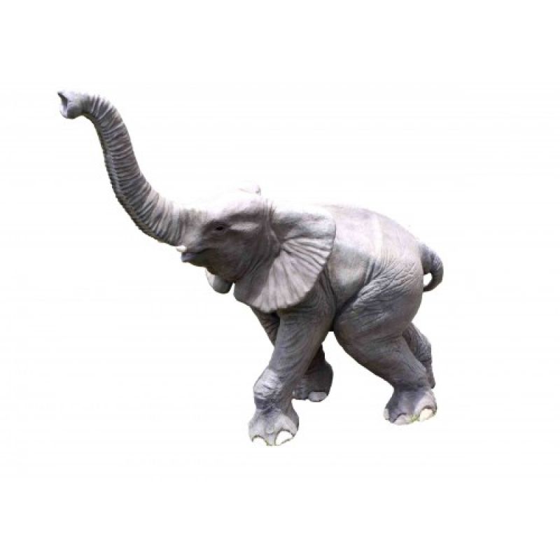 Spacerujące słoniątko