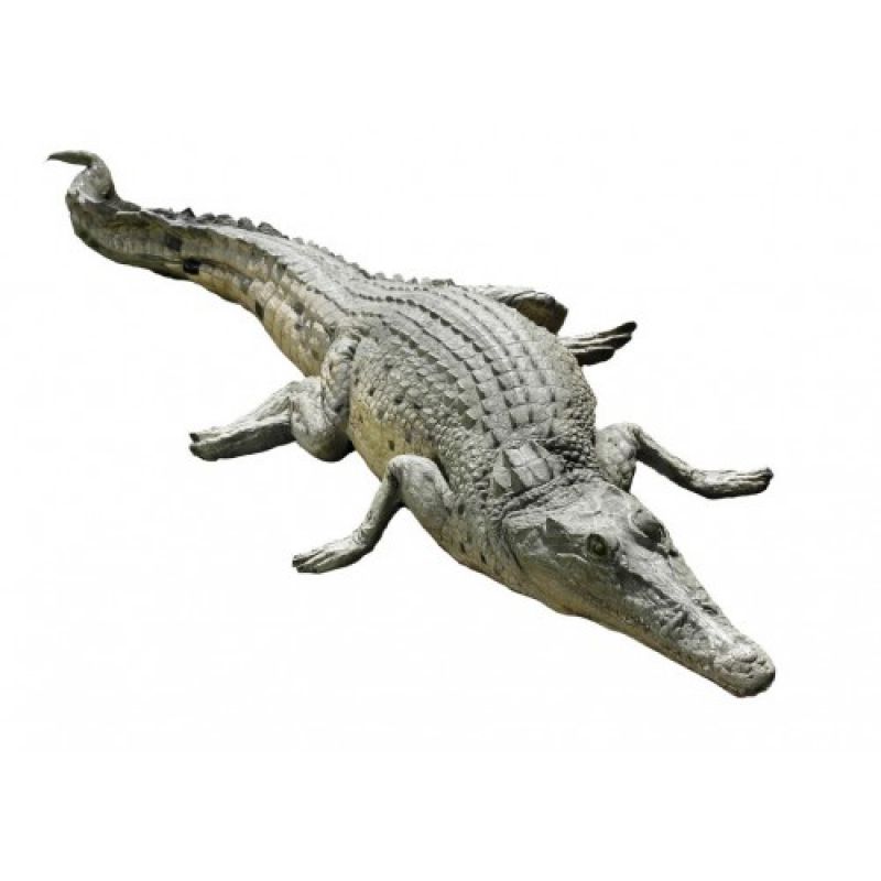 Ein ruhendes Krokodil