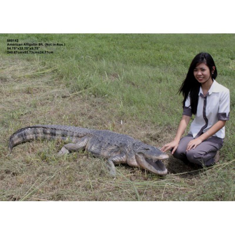 Duży amerykański aligator