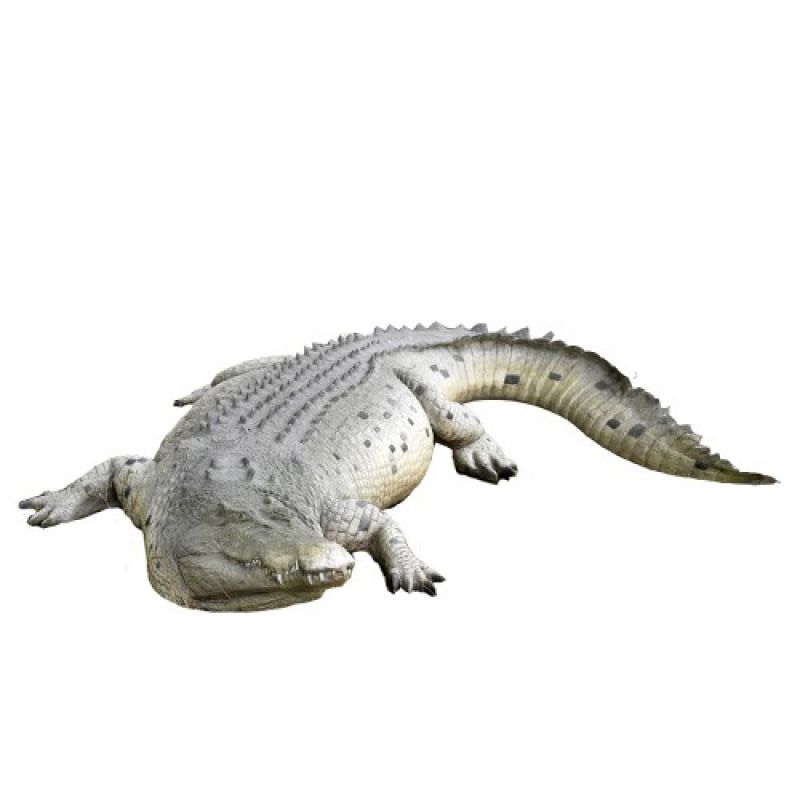 Гигантский крокодил