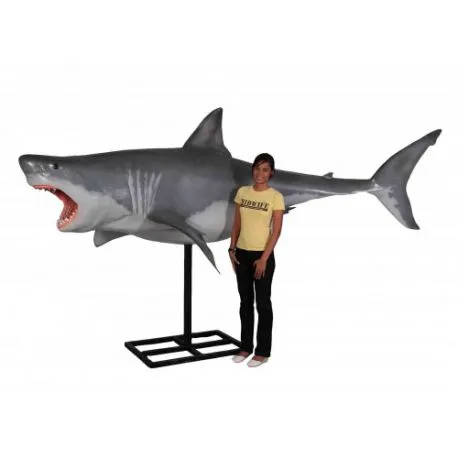 Large Great White Shark on...
