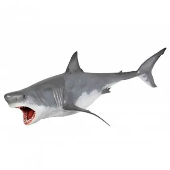 Un requin blanc suspendu
