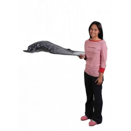 Aigle tacheté