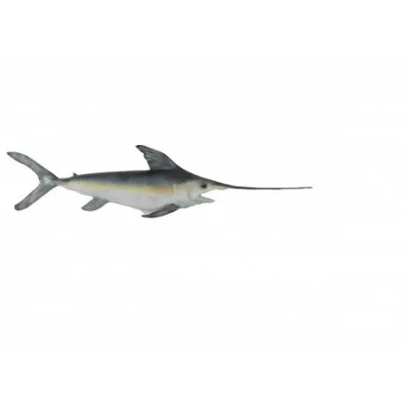 swordfish fish
