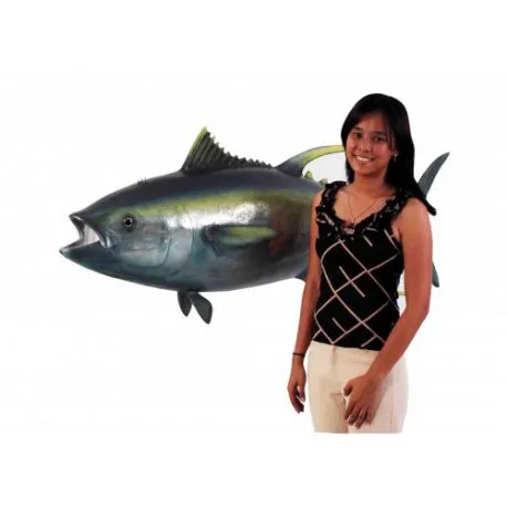 Thon albacore