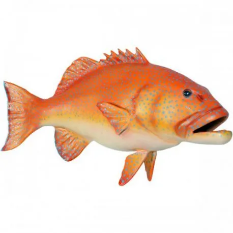 Coral Trout