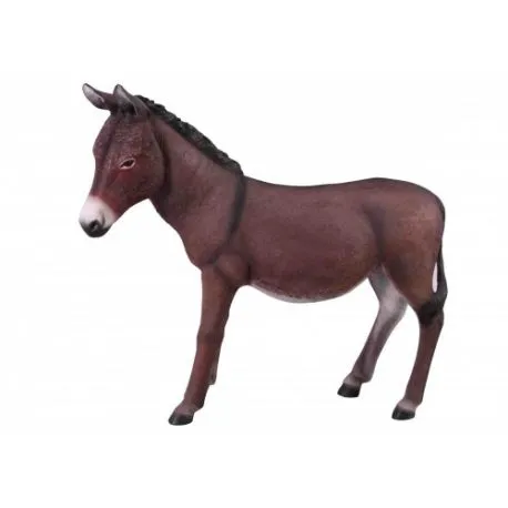 Brown donkey