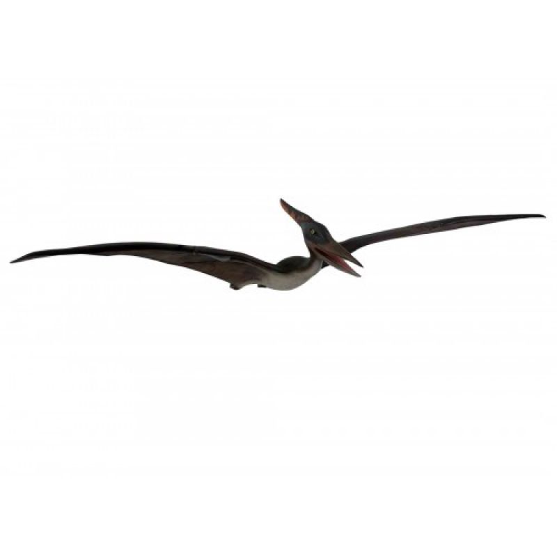 Visící mladý pteranodon