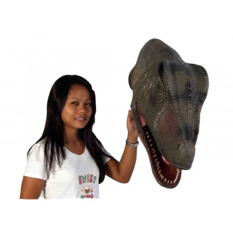 Allosaurus Head Mouth Open