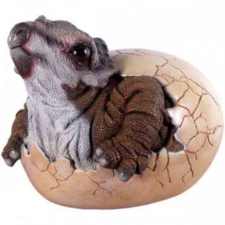 Baby Triceratops Hatching