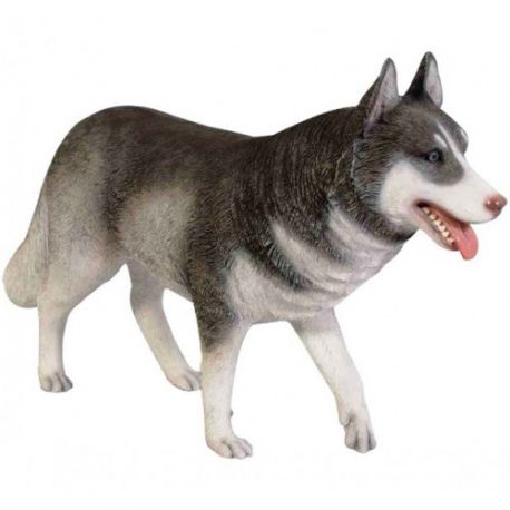 Husky