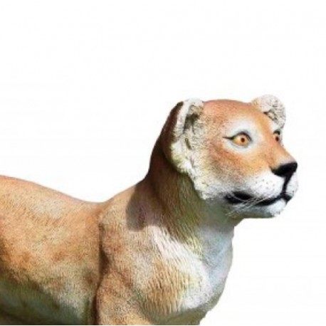 Ein stehender junger Löwe