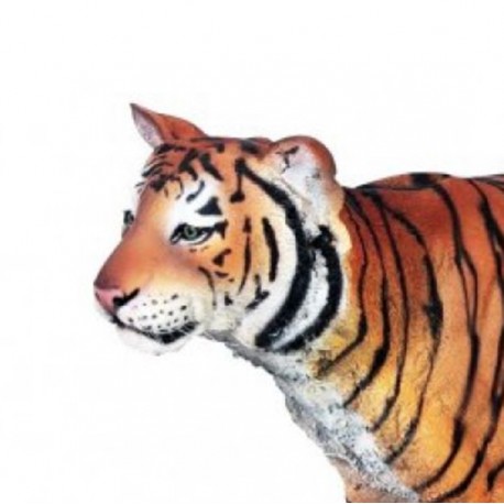 Sumatranský tygr