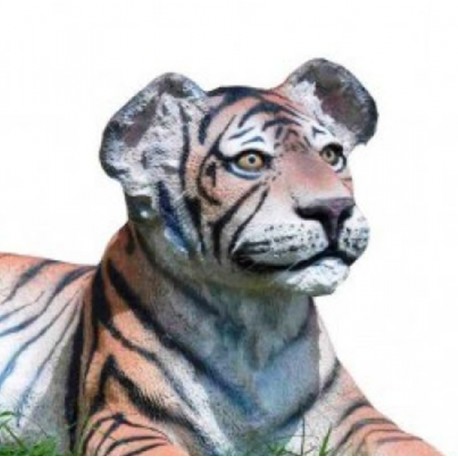 Liegender junger Tiger