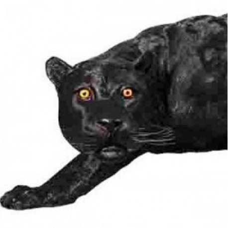 Black Panther -...