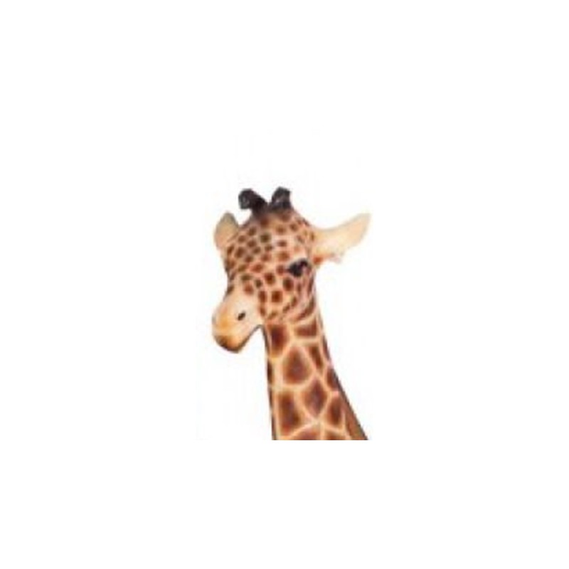Mladá žirafa