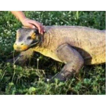 Фигурка, статуя, Маленький...