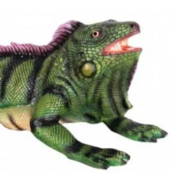 Petit iguane